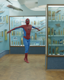 Rigged Spider-Man 3d Model